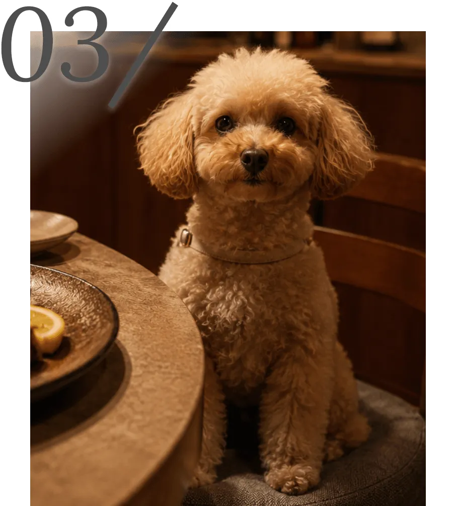 愛犬と一緒に過ごせる店内